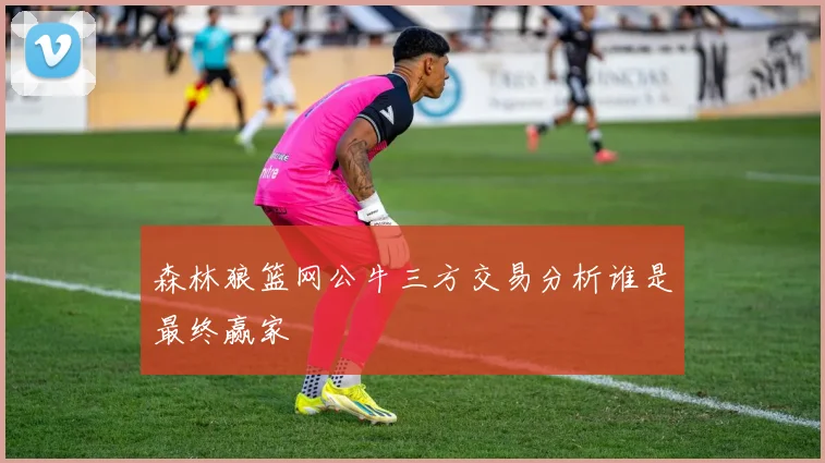 森林狼篮网公牛三方交易分析谁是最终赢家