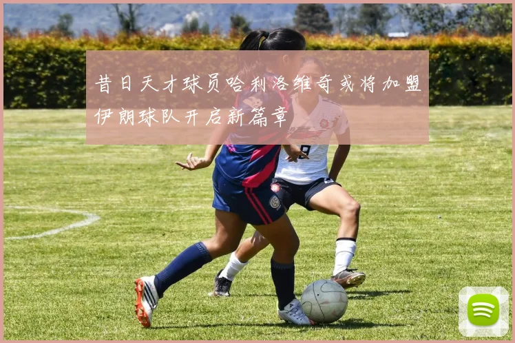 昔日天才球员哈利洛维奇或将加盟伊朗球队开启新篇章