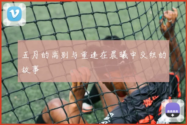 五月的离别与重逢在晨曦中交织的故事